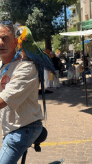 Morning street life and commerce documented across Tel Aviv