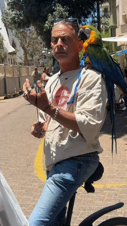 Morning street life and commerce documented across Tel Aviv