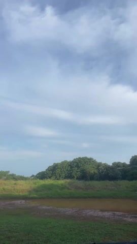 The video presents a static, wide shot of a rural landscape, featuring a pond in the foreground and a cluster of trees in the background. The sky, occupying the upper half of the frame, is light blue with soft, scattered clouds. The pond has muddy banks and brownish water. The terrain around the pond is covered with green grass. In the middle ground, a line of trees and bushes is visible, providing a backdrop to the scene. As the camera zooms slightly towards the pond, two birds are revealed standing on the muddy bank. The lighting is bright and natural, suggesting an outdoor setting on a sunny day.