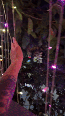 Woman documents luxury shopping experience in Đồng Nai
