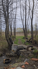 Forest stream polluted with tires, makeshift bridge in Bulgaria