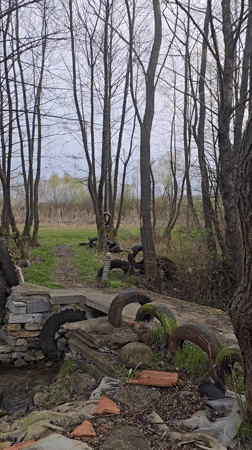 Forest stream polluted with tires, makeshift bridge in Bulgaria