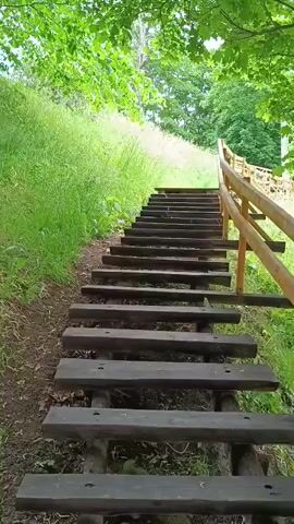 The video shows a wooden staircase ascending a grassy hill. The stairs are made of dark wood planks supported by smaller wooden beams. A light-colored wooden handrail runs along the right side of the stairs. Lush green foliage, consisting of trees and tall grass, surrounds the staircase, creating a natural and somewhat overgrown environment. The lighting suggests it is daytime, possibly overcast or with dappled sunlight filtering through the leaves. The camera perspective is low, looking up the stairs, giving a sense of upward movement. There are no people or animals visible in the video.