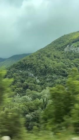 This is a video clip of a moving vehicle, likely a car or bus, traveling through a mountainous, forested region. The camera is pointed out of a window, capturing a panoramic view of lush green mountainsides covered in dense trees. The perspective is low, suggesting the vehicle is traveling along a road at the base of the mountains.

The time of day appears to be daytime, with diffused light filtering through an overcast sky. The clouds are a prominent feature, creating a somewhat muted and moody atmosphere. The overall weather seems to be cloudy or possibly rainy, as the light is not bright and the sky is a uniform grey.

The activity taking place is travel. The motion blur of the trees and landscape indicates that the vehicle is in motion. The scene is characterized by its natural beauty, with an emphasis on the vastness of the forested mountains. There are no people or specific objects visible in detail, other than the implied interior of the vehicle from which the video is filmed.

There is no visible text within the video. The location context of Bzypta, Abkhazia, places this scenic route within a mountainous area known for its natural landscapes. The emotion conveyed is one of tranquil observation of nature during travel, with a touch of the dramatic provided by the cloudy sky.