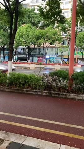 A blurry yellow scooter with a yellow box on the back drives past a red car in the middle of the road. The scooter is on the left side of the road. The car is moving and its headlights are on. Trees and buildings are in the background. The road is wet.