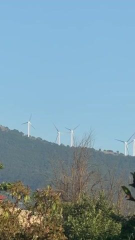 This is a video taken outdoors, likely during the daytime due to the bright sunlight and clear blue sky. The scene is set in a hilly, natural landscape, possibly in Greece, given the location context of "Δημοτική Ενότητα Προμαχώνος". In the background, several white wind turbines are visible, positioned along the crest of a lush, green hill. These turbines appear to be in operation, with their blades rotating, suggesting a windy day.

In the foreground, the view is partially obscured by the tops of various trees and foliage. The leaves are green and appear healthy, indicating a temperate season, likely spring or summer. There are also some bare branches from deciduous trees, hinting at the transition between seasons. The overall mood of the video is peaceful and serene, highlighting the natural beauty of the landscape and the integration of renewable energy technology. There is no visible text in the video.