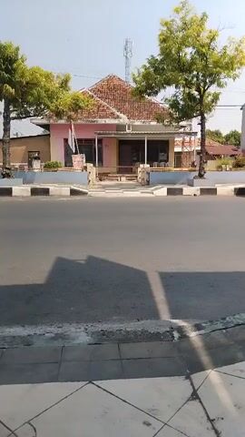 The video shows a street scene in daylight. A pink building with a red tiled roof and two trees in front is visible in the background. Several motorcycles are passing by on the road in front of the building. In the first clip, a motorcycle carrying two people, a man and a woman, passes by. In the second clip, a motorcycle carrying two people passes by. In the third clip, a white car is visible on the left side of the road, and a motorcycle passes by. In the fourth clip, a motorcycle carrying two people passes by. The scene appears to be in a residential or commercial area. The weather is clear and sunny.