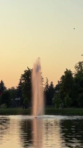 A fountain sprays water in a lake at sunset. The water catches the light, creating a warm glow. Trees line the shore of the lake, and a building is visible in the distance. Birds fly in the sky.