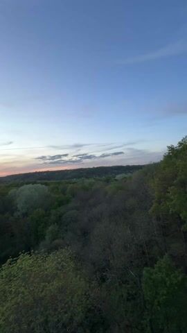 The video shows a forest landscape at dusk. The sky is a gradient of blue and orange, indicating the end of the day. There are clouds scattered across the sky. The forest is lush and green. The camera pans to the left, revealing a metal railing on a bridge or overlook. A person is standing near the railing, but they are only partially visible. The camera movement is relatively stable, suggesting it is handheld.