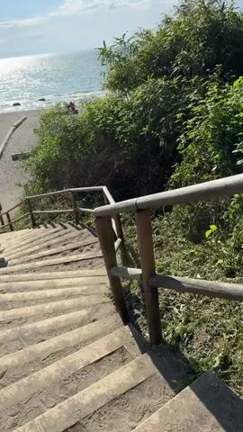 The camera points to a staircase in a park. The staircase is made of wood and has a wooden handrail. The steps are old and worn. The surrounding area is green and lush with trees and vegetation. The camera is pointed upwards towards the top of the staircase. The person recording mentions it is a long walk of over 1,000 steps.