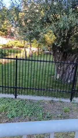 The video shows a view of a park area through a black metal fence. In the foreground, there is a white railing. Behind the fence, a patch of green grass is visible, with several trees providing shade. There are also various structures in the park, including a playground with slides and a covered picnic area. The camera pans slowly to the right, offering a continuous view of the park. The overall impression is of a calm, sunny day in a public park.