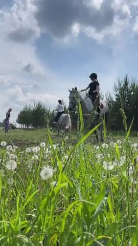 A young person wearing a black helmet and riding clothes is on a grey horse. The horse is walking through a field of green grass and dandelions. In the background, another person is standing in the field, and there are trees and a cloudy sky.