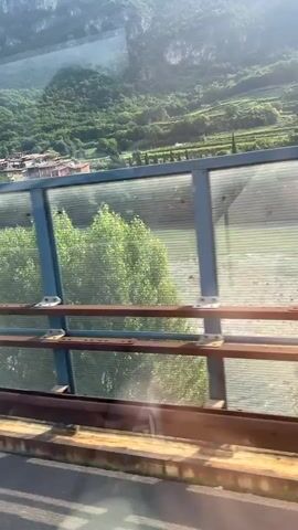The video pans from a view of a forested mountainside to a section of a bridge or overpass. A noise barrier with a diagonal pattern is visible, as is a power line tower against a blue sky with clouds. The camera appears to be moving, likely from inside a vehicle, indicated by reflections and the sense of motion. There is a wooden railing along the edge of the structure. A blurry white and grey animal, possibly a cat, is visible near the railing.