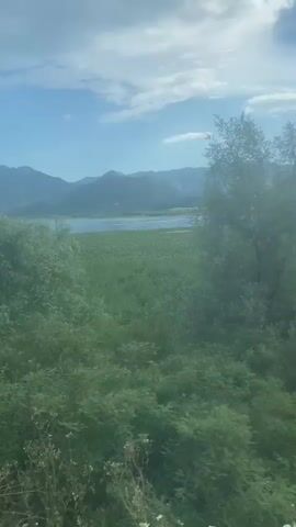 The video shows a landscape with a body of water, possibly a lake, in the background, framed by distant mountains under a partly cloudy blue sky. In the foreground, there is a dense area of green vegetation, including trees and tall grasses. The camera appears to be in motion, capturing a panning view of the scenery.