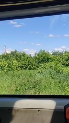 The video presents a view from inside a moving vehicle, looking out a side window. The scene unfolds under a clear blue sky with scattered white clouds, suggesting a bright day. Initially, dense green bushes and trees line the path outside the window. As the vehicle progresses, a long, vibrant blue corrugated fence comes into view, stretching horizontally across the mid-ground. Beyond the fence, more green trees are visible, along with an open field featuring cultivated low-lying green plants. The perspective is from within a vehicle, likely a train or bus, as indicated by the window frame and the continuous motion of the landscape. The footage captures a journey through a rural or semi-rural area in Shelestove, Ukraine, characterized by abundant greenery and open spaces. There is no visible text or identifiable people in the video.