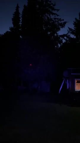 The video shows a dark outdoor scene with several green lights scattered across the ground and in the air. In the background, there is a silhouette of trees and a small building with a light on inside. A tree in the center of the frame is illuminated with changing colored lights, including purple and red, creating a circular and square pattern. The overall impression is that of a decorative light display at night.