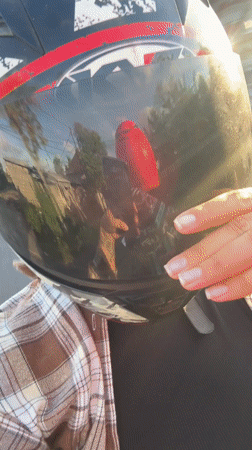Motorcyclist in plaid shirt rides paved road in Mengwi