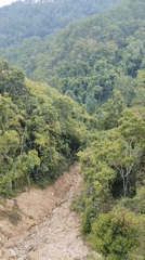 Morning forest and highway views documented across Da Lat mountains