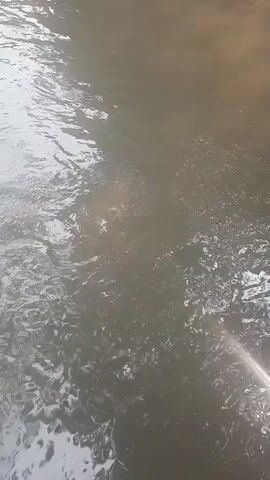 The video shows a close-up of murky water flowing in a narrow channel. The water is dark brown and appears to have sediment or debris. The camera is positioned above the water, looking down into the channel. The sides of the channel are lined with concrete, and there are some plants and trees visible in the background. The water is moving, creating ripples and small waves on the surface. There are no people or animals visible in the video. The lighting is dim, suggesting it may be overcast or late in the day. The overall impression is of a somewhat polluted or natural water source.