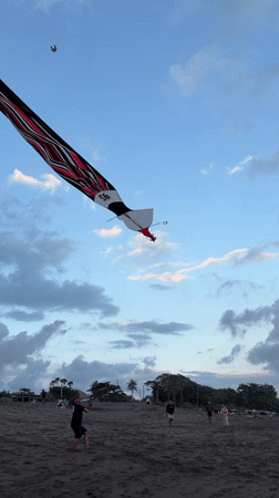 Families fly kites, play with dogs at Mengwi beach