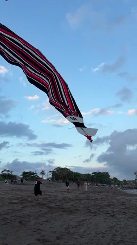 Families fly kites, play with dogs at Mengwi beach