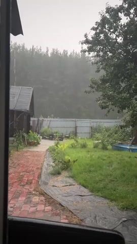 The video shows a view from inside a building looking out at a backyard during a rainstorm. The rain is visible falling in sheets. In the foreground, to the left, is a red brick pathway. To the left of the pathway is a small wooden structure with a dark roof and wooden siding. Further back, a light-colored metal fence runs horizontally across the scene. Beyond the fence is a dense line of trees, their forms blurred by the rain and mist. The ground is covered in green grass and some areas appear to be muddy or waterlogged. There is a blue object, possibly a pool, visible to the right of the fence. The overall atmosphere is damp and overcast, characteristic of heavy rainfall.