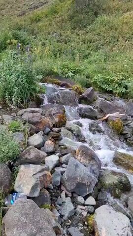 A narrow stream flows over rocks and pebbles. Lush green vegetation lines the banks of the stream, with some wildflowers visible in the background. The water is clear and appears shallow. The stream bed is rocky, with various sizes of stones and pebbles visible. The camera pans down the stream, following the flow of the water.