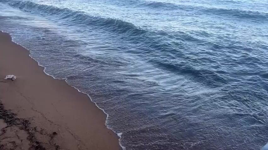 The video shows the edge of a sandy beach meeting the ocean. Waves gently roll in and break along the shoreline, with white foam visible. The water is a bluish-grey color. The sand appears to be light brown. The camera is static and focused on the point where the water meets the sand.