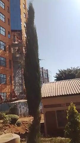 The video shows a tall, multi-story building under construction with scaffolding covering much of its exterior. The building has a mix of orange and gray sections and numerous windows. There's a tall, thin tree in the foreground, partially obscuring the view. A sign for "Ndangani Sec. School" is visible, along with a chain-link fence. A woman in a light-colored coat walks by the school sign. The sky is clear and blue, and the scene appears to be taken during the daytime.
