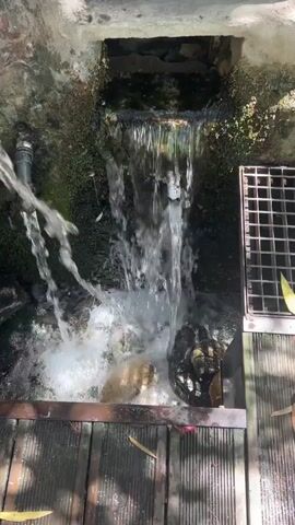 The video shows a small waterfall cascading into a pool of water. There is a pipe on the left side of the frame supplying water to the waterfall. A metal grate is visible on the right side of the frame, covering a drainage area. The environment appears to be outdoors, with rocks and foliage surrounding the waterfall. The water is clear and appears to be clean.