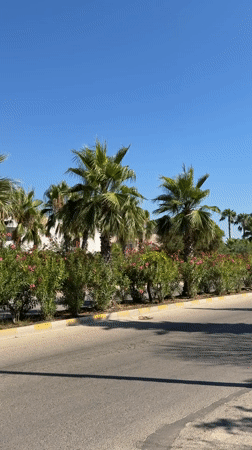 Resort morning in Kemer: water park, palm-lined roads, hotel grounds