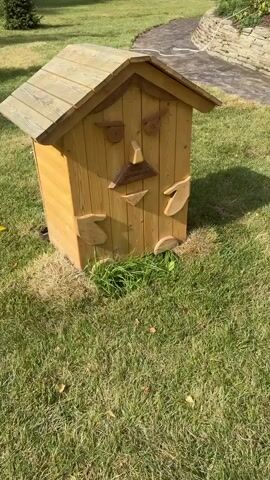 This is a close-up, shaky, outdoor video of a wooden outhouse. The outhouse is decorated to look like a face. It has round wooden circles for eyes, wooden triangles for eyebrows, a triangular piece of wood for a nose, a horizontal wooden piece for a mustache, and two triangular pieces of wood for a mouth. There are also two wooden leaf-like shapes on either side of the outhouse, presumably for arms. The outhouse is situated on a patch of grass, with a stone pathway visible in the background. The sun is casting shadows on the outhouse and grass, indicating it is daytime.