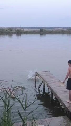 At the 00:00 mark, a person jumps into a body of water from a wooden pier. The water splashes as they enter. On the pier, another person stands facing away from the camera, wearing dark shorts. In the foreground, green reeds grow along the edge of the water.

At the 00:01 mark, the camera pans down to the right. The person who jumped into the water is now swimming. A person wearing a pink hooded jacket and pink pants stands on the edge of the pier, facing the water. The wooden pier has several support beams. The ground near the pier is made of concrete steps.
