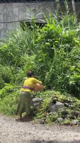 Morning life captured across Ubud and Mas, Indonesia
