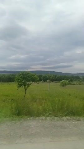 The video shows a view from a moving vehicle. The scene is dominated by a lush green field under a cloudy sky. Several trees are scattered across the field, some appearing young and slender, while others are larger and more mature with fuller canopies. In the foreground, there is a dirt or gravel path. The landscape appears to be rural and undeveloped, with rolling hills visible in the distance. The overall impression is one of natural scenery.