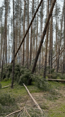 Forest damage and lake views documented near Panagyurishte, Bulgaria
