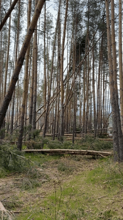 Forest damage and lake views documented near Panagyurishte, Bulgaria