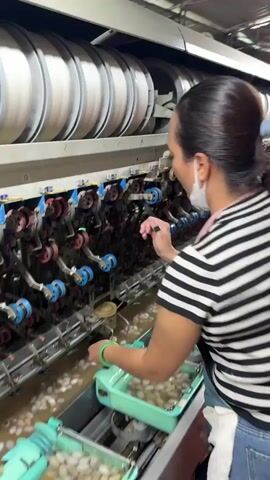 The video shows a woman working at a silk reeling machine. She is wearing a black and white striped shirt, blue jeans, and an apron. She is wearing a face mask around her neck. She is standing in front of a long machine with many spools that are spinning. In front of the machine are trays filled with silkworm cocoons. She is using her hands to manipulate the threads from the cocoons onto the spools. Other women are visible in the background also working at similar machines. The environment appears to be a factory setting with a concrete floor and fluorescent lighting.
