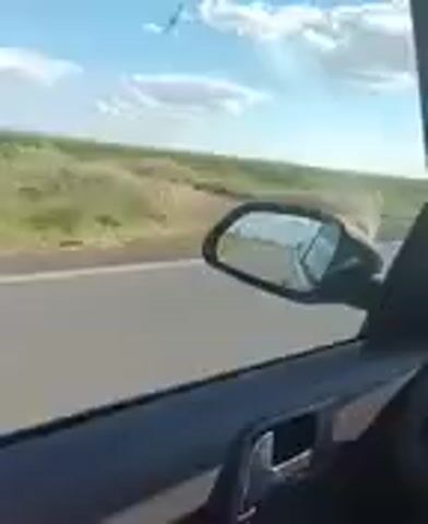 The video shows a view from inside a car looking out the passenger window. The car is on a road, with a field of green crops to the right. The sky is blue with some white clouds. A side mirror is visible, reflecting the passing scenery. The car appears to be in motion, as indicated by the blurred surroundings. There is a light pole visible in the distance.
