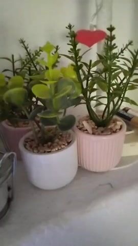 This is a close-up shot of three small potted artificial plants. The plant in the foreground, on the left, is in a white pot and has broad, round, grey-green leaves. To its right and slightly behind it is another plant in a light pink ribbed pot. This plant has thin, tall green stems and small green leaves. Behind the first plant and to the left, a third plant is partially visible in a pink pot. The plants appear to be decorative, likely placed on a shelf or table. A red heart-shaped object is visible at the top of the frame, behind the plants. The lighting is soft, and the background is out of focus, suggesting an indoor setting.