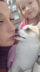 Lazy morning with a corgi at home in Chuhuiv