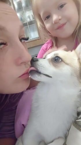 Lazy morning with a corgi at home in Chuhuiv