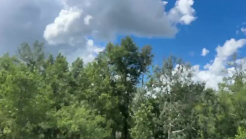 The video begins by showing a canopy of lush green trees against a bright blue sky filled with fluffy white clouds. As the camera pans to the right, a blue truck with a white stripe on its side comes into view. The truck appears to be stationary. The scene is outdoors with a natural environment indicated by the trees and sky.