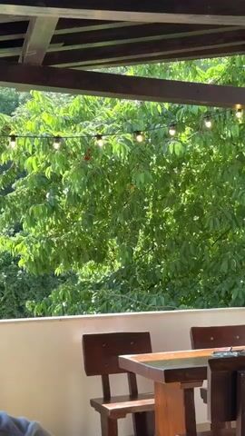 The video opens with a view from a covered outdoor patio, looking towards a lush green tree. Overhead, wooden beams form the ceiling structure, and a string of round, incandescent-style lights hangs across the mid-ground. The tree's branches are dense with green leaves and numerous small red cherries. In the foreground, on the right side, a wooden table and parts of two matching wooden chairs are visible. On the far left, the shoulder and arm of a person wearing a grey short-sleeved shirt are partially seen. A light-colored wall or railing extends along the bottom of the frame, separating the patio from the outdoor scene. The camera slowly zooms in, focusing more closely on the cherries nestled among the tree's leaves, while the patio furniture and the person's arm move out of the frame. Faint sounds of children talking are heard.