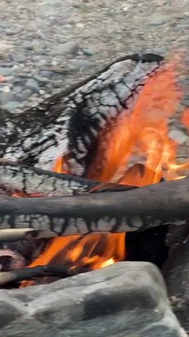 The video shows a close-up view of a campfire. The flames are bright orange and yellow, and they are licking at several pieces of charred wood. The wood is cracked and blackened, with some white ash showing through. In the background, there is a blurry area of small grey and brown rocks, which appear to be on the ground. There are no people visible in the video. The camera is focused on the fire, and the movement is slight, suggesting it may be a still shot with some digital animation or a very slow pan.