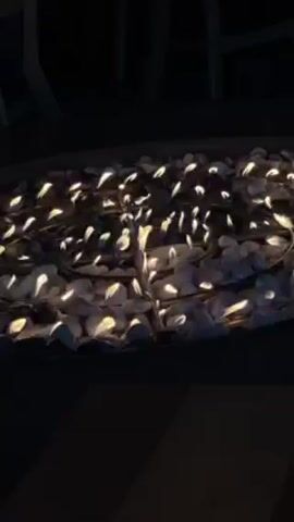 The video shows a fire pit filled with white stones and flames dancing between them. The fire is relatively low, providing soft, flickering light in the dark environment. Parts of some chairs are visible in the background.