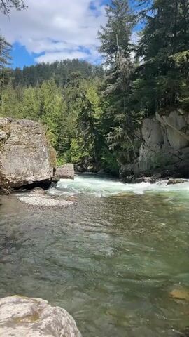 The video shows a river flowing through a forest. The water is clear and rushing over rocks, with some whitewater present. The river is surrounded by large rocks covered in moss and greenery. Tall evergreen trees line the banks, creating a dense forest. The sky is blue with some scattered clouds.