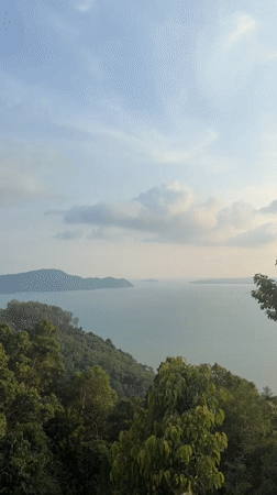 Scenic views and monkey activity documented in Wichit, Thailand