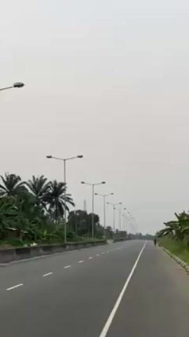 The video shows a long, straight, empty highway stretching into the distance under a gray, overcast sky. The road is lined with evenly spaced streetlights. Lush, tropical vegetation, including palm trees, grows along the sides of the road. A single person walks along the shoulder of the road in the distance. The pavement is cracked and marked with white lane dividers. The overall scene suggests a somewhat remote or sparsely populated area.