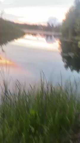 The video shows a serene landscape at sunset. A still body of water reflects the colorful sky, with hues of orange, pink, and blue. Tall grasses and reeds grow along the edge of the water, their reflections also visible. In the background, silhouetted trees and bushes line a gentle hill. The overall atmosphere is peaceful and tranquil, capturing the beauty of nature as day transitions into night. The camera appears to be positioned at eye level, slightly above the water's surface. There are no people or animals visible in the frame.